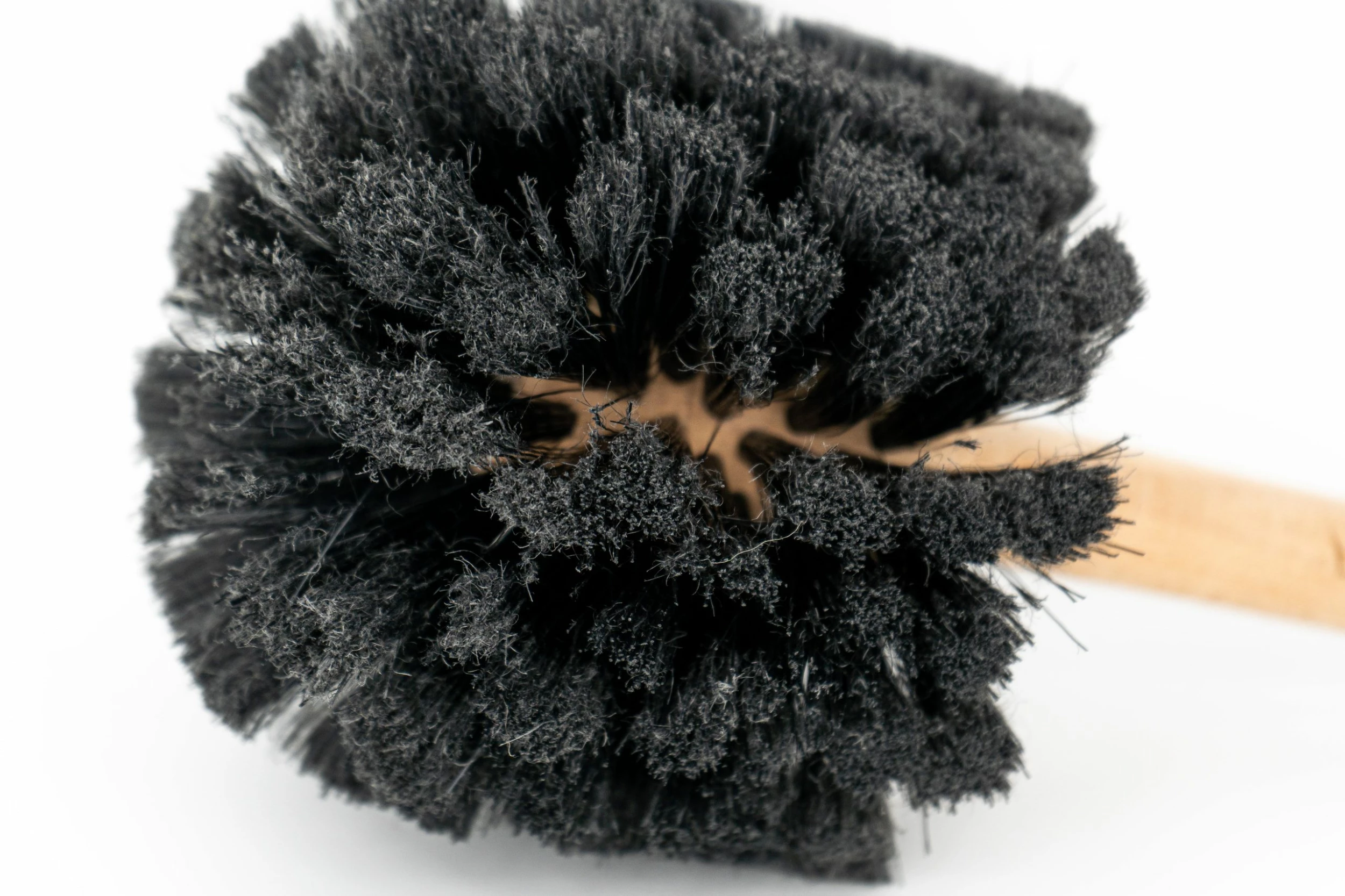 Peaty's Moerasborstel 5 Peaty's Moerasborstel - Afbeelding 3